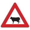 §50/13a Achtung Tiere