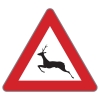 §50/13b Achtung Wildwechsel