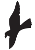 Raubvogelsymbol 'II' schwarz matt, selbstklebend