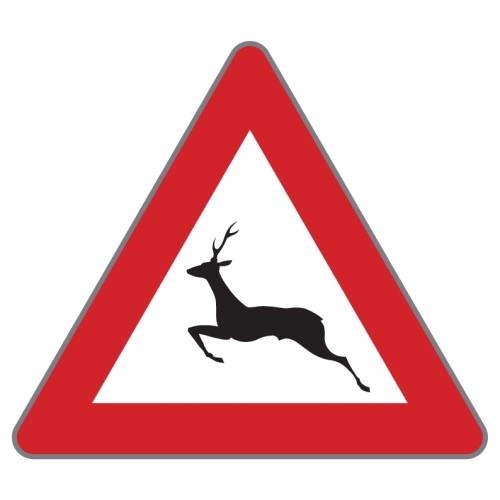 Artikelbild des Artikels “§50/13b Achtung Wildwechsel “
