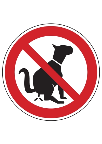 Artikelbild des Artikels “Hier kein Hundeklo “