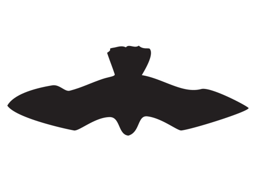 Artikelbild des Artikels “Raubvogelsymbol 'I' schwarz matt, selbstklebend “