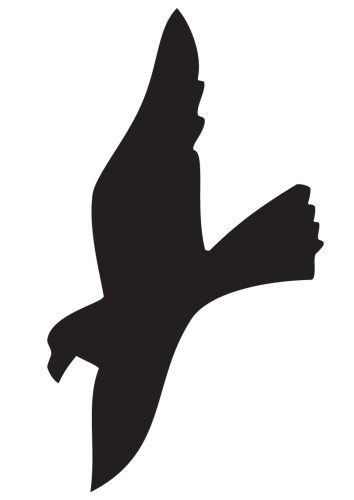 Artikelbild des Artikels “Raubvogelsymbol 'II' schwarz matt, selbstklebend “